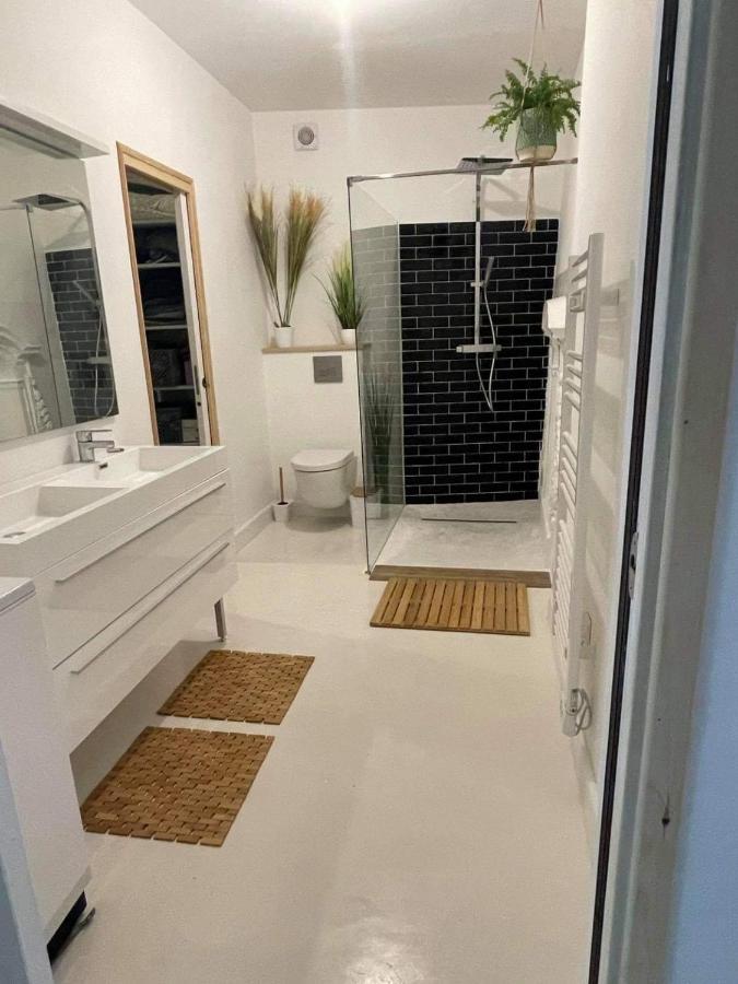 Appartement Au Centre De La Venise Provencale LʼIsle-sur-la-Sorgue Εξωτερικό φωτογραφία